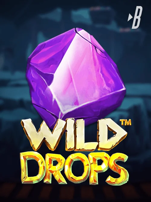Aviator next spribegaming com login