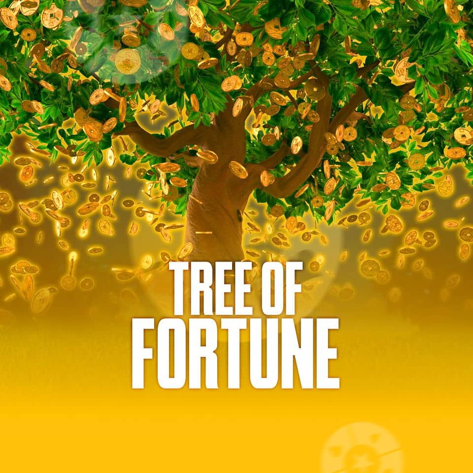 Mrfortune.com