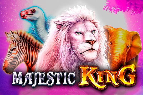 Jogo do foguetinho aposta
