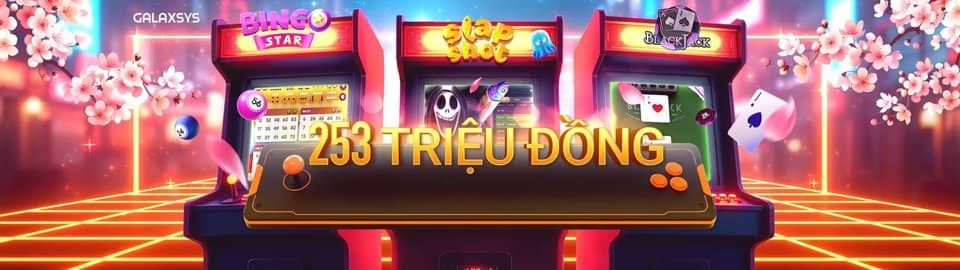 Como jogar bingo