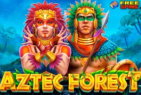 Bets jogos